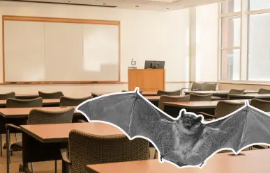 Rescatan a murciélago en escuela del Centro de Torreón