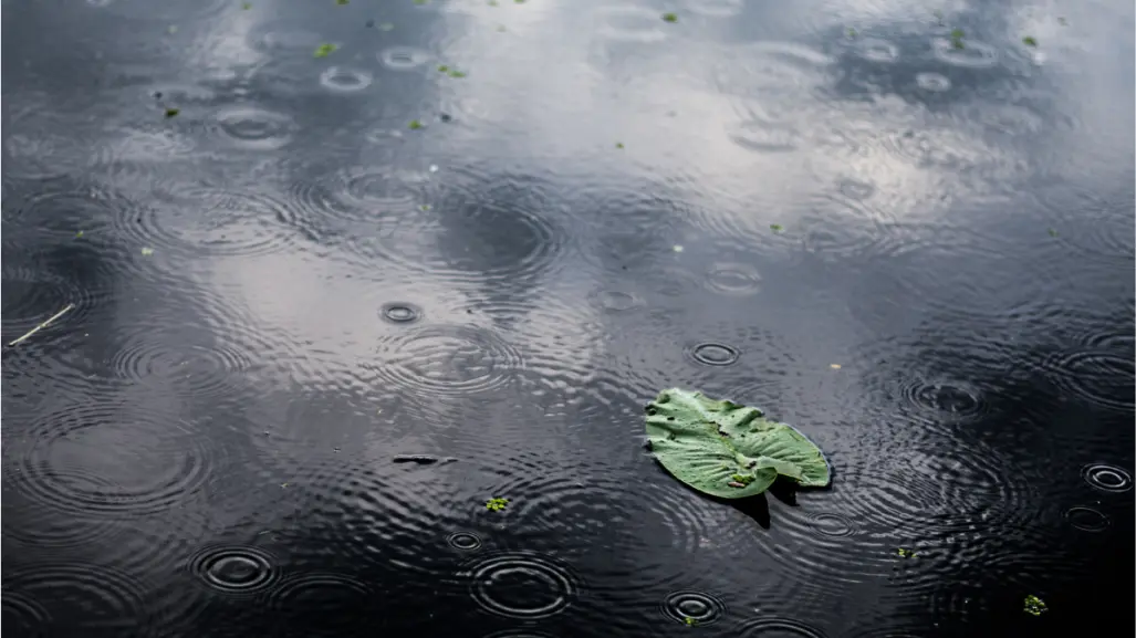 Prevalecerán las lluvias en Tamaulipas este 7 de agosto
