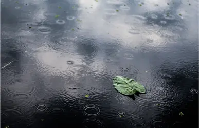 Prevalecerán las lluvias en Tamaulipas este 7 de agosto
