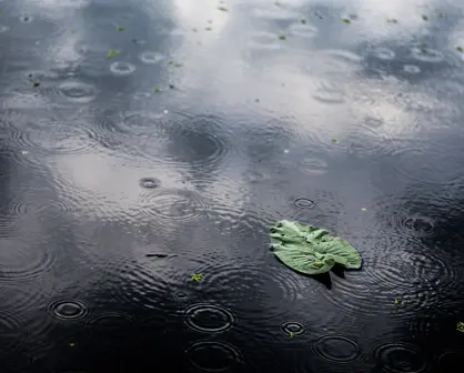Prevalecerán las lluvias en Tamaulipas este 7 de agosto