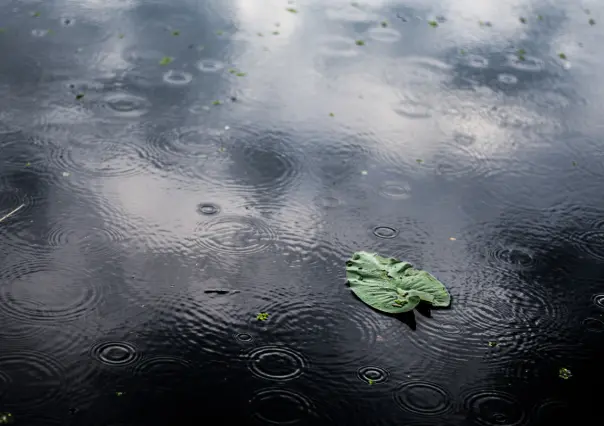 Prevalecerán las lluvias en Tamaulipas este 7 de agosto