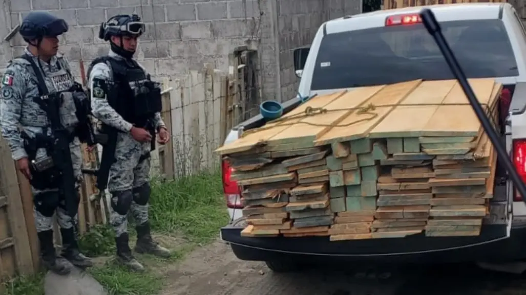 Tala ilegal en Edomex: cierran tres aserraderos clandestinos en Amecameca y San Pedro Nexapa