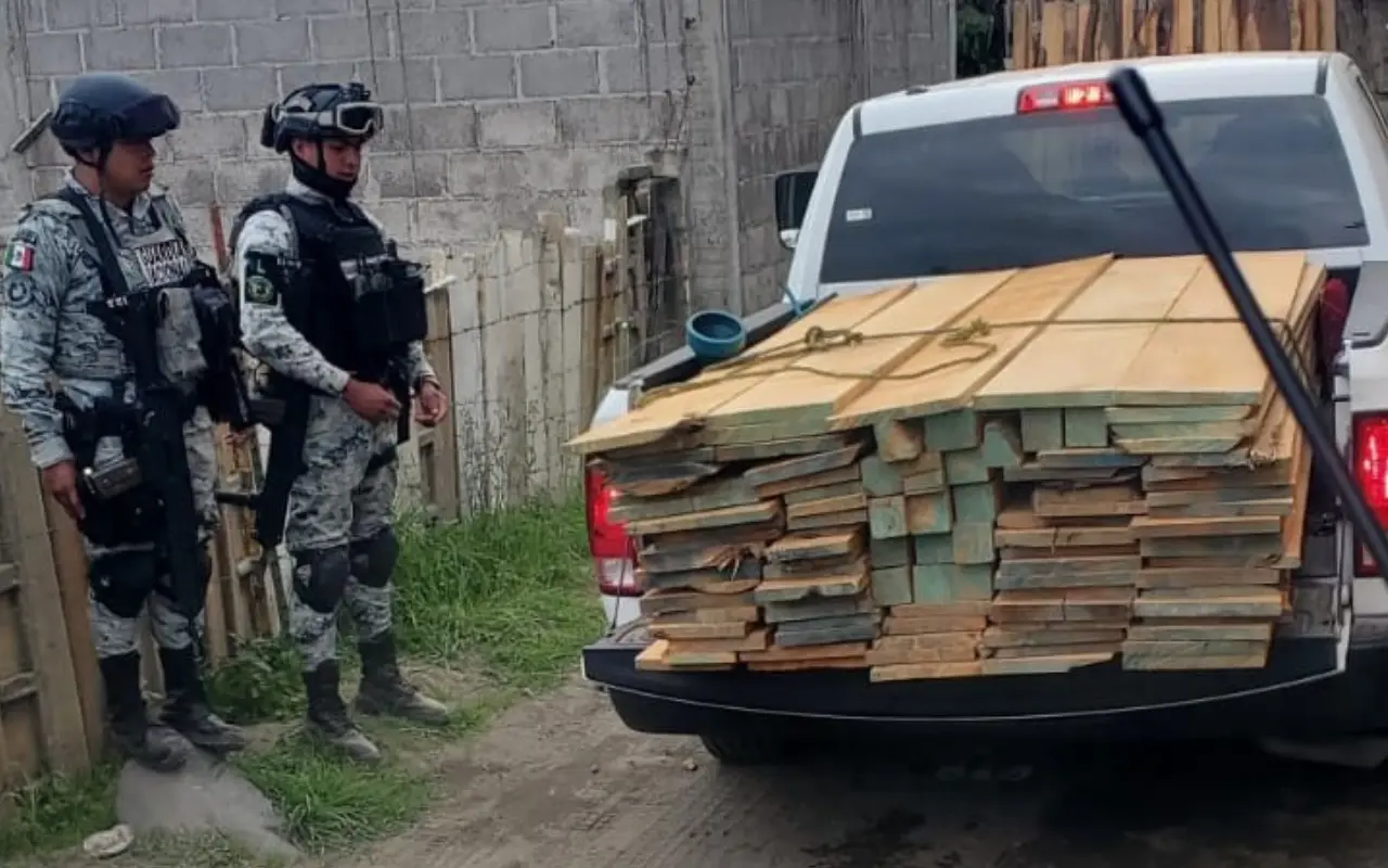 Autoridades resguardan madera asegurada por tala ilegal en Amecameca. Foto: Especial