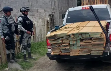 Tala ilegal en Edomex: cierran tres aserraderos clandestinos en Amecameca y San Pedro Nexapa