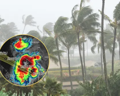 ¿Afectará la tormenta tropical Ivo a Baja California Sur? Esto dicen las autoridades