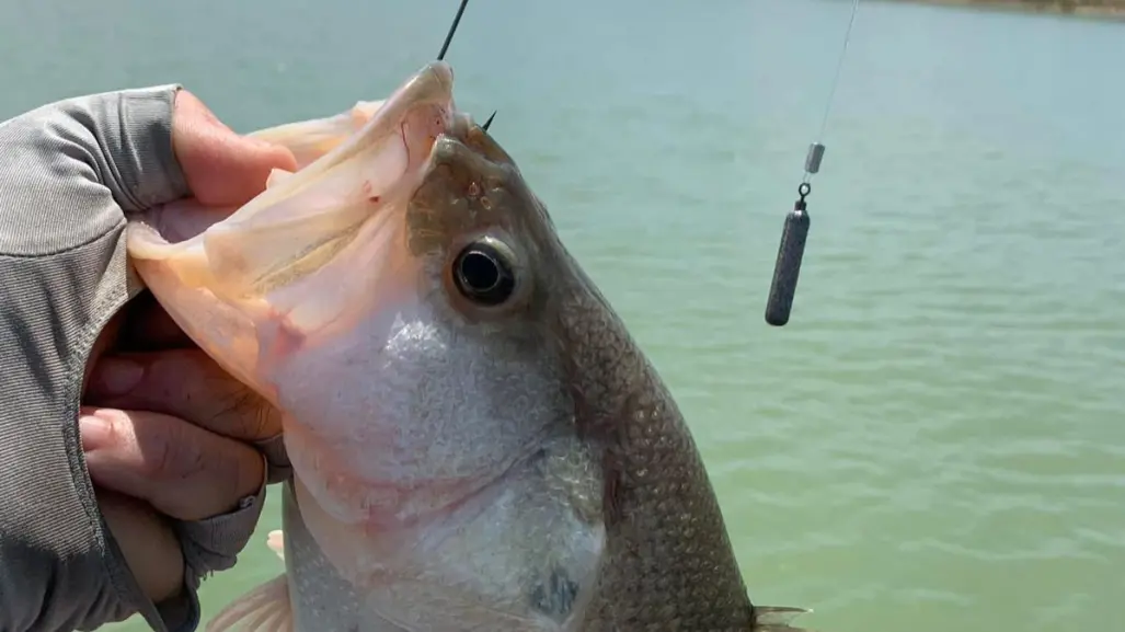 Este torneo de pesca regional promete ser uno de los más grandes de Tamaulipas