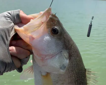 Este torneo de pesca regional promete ser uno de los más grandes de Tamaulipas