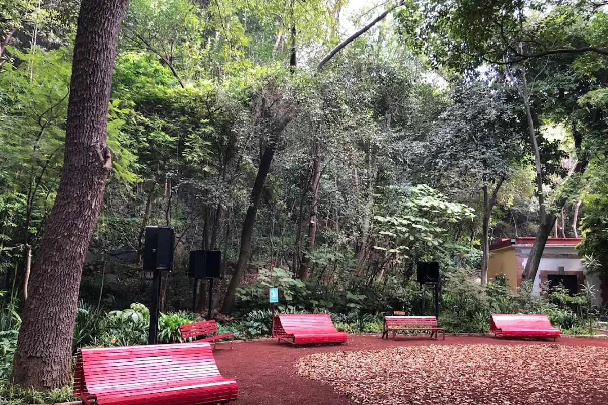 Audiorama en CDMX. Foto: bosquedechapultepec | Canva