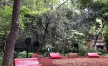 El rincón tranquilo y natural en el Centro de CDMX ideal para descansar escuchando música clásica