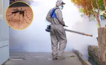 Se desploma número de casos de dengue en Coahuila en comparación con 2024