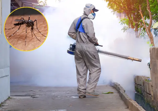 Se desploma número de casos de dengue en Coahuila en comparación con 2024