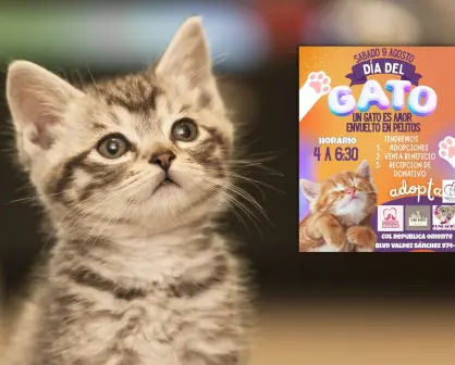 ¿Dónde será la jornada de adopciones por el Día Internacional del Gato en Saltillo?