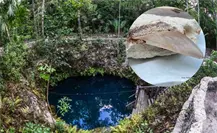 Encuentran dientes de megalodón en cenote de Quintana Roo y los exhiben en museo