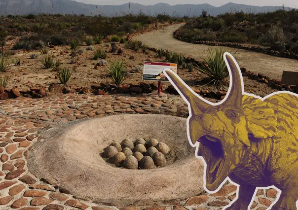 El rincón de Coahuila donde puedes caminar entre restos reales de dinosaurios