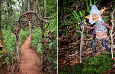 Este pueblo mágico de Hidalgo esconde un sendero encantado habitado por duendes