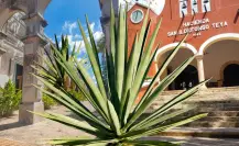 3 haciendas de Yucatán que destacaron en la época de oro del henequén