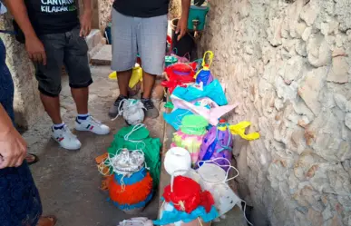 Investigan uso de serpientes e iguanas vivas como "piñatas" en festejos en Calkiní, Campeche