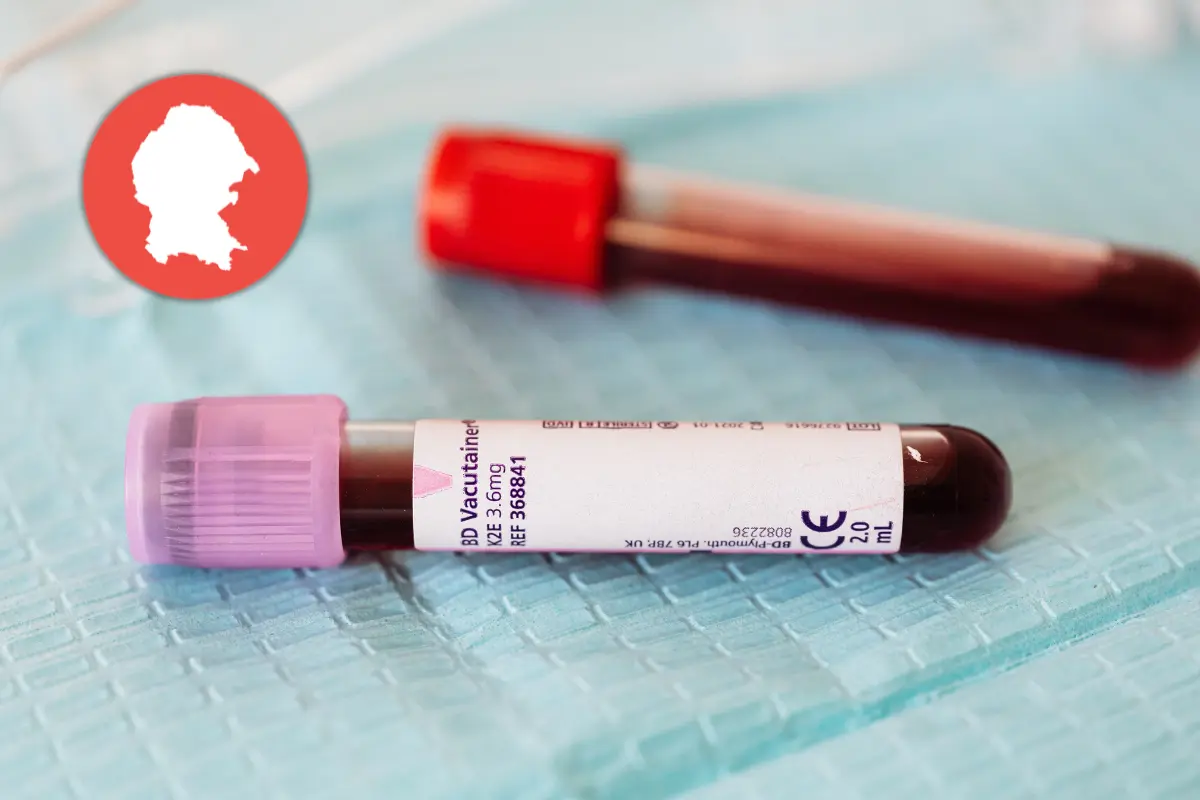 Transfusión de sangre. Foto de canva.