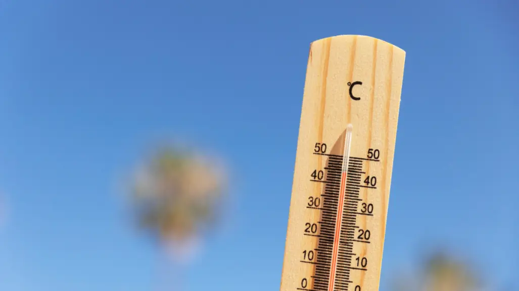Prevén calor extremo en el occidente y norte de Tamaulipas este 9 de agosto