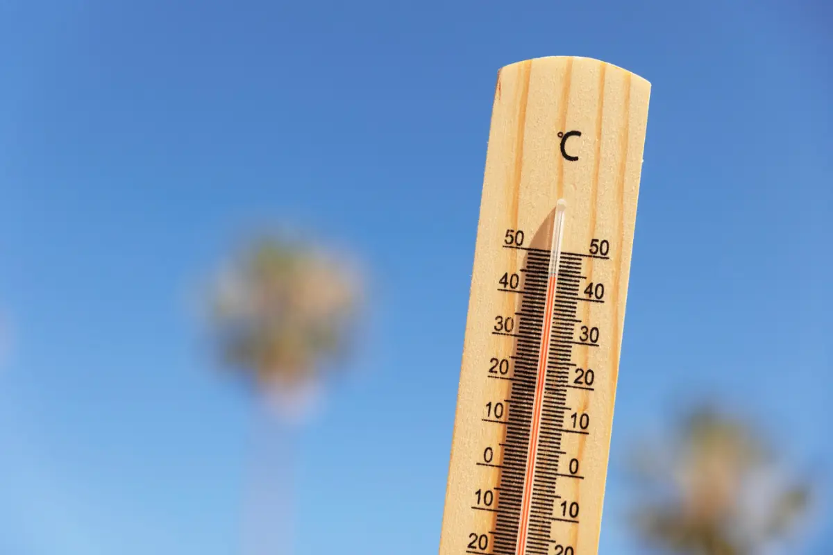 Hasta 45 grados en el noroeste de Tamaulipas. Foto: Freepik