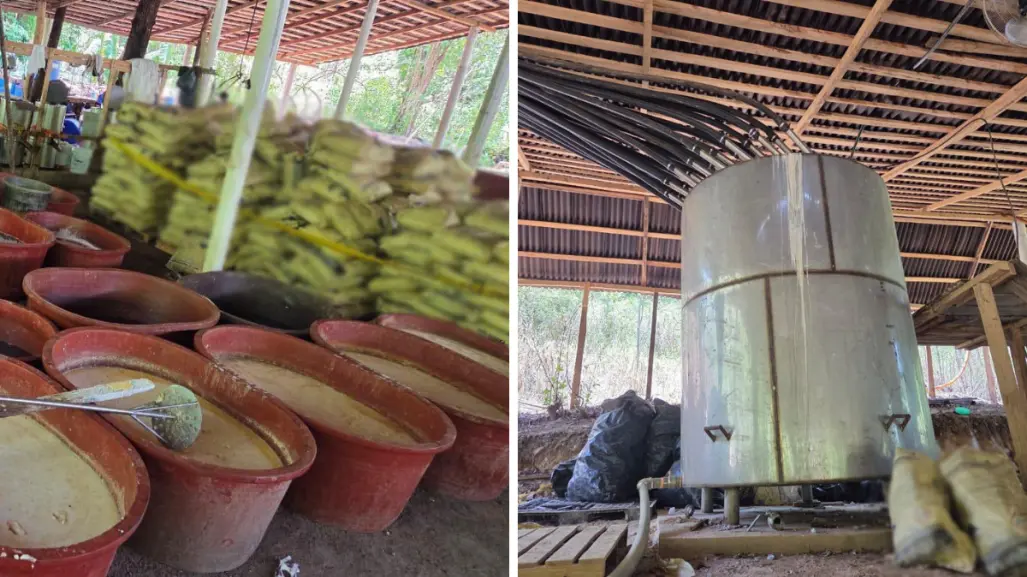Desmantelan laboratorio de metanfetaminas en Chiapas y aseguran más de 4 toneladas de químicos en Guerrero