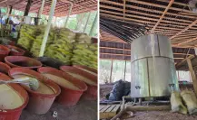 Desmantelan laboratorio de metanfetaminas en Chiapas y aseguran más de 4 toneladas de químicos en Guerrero
