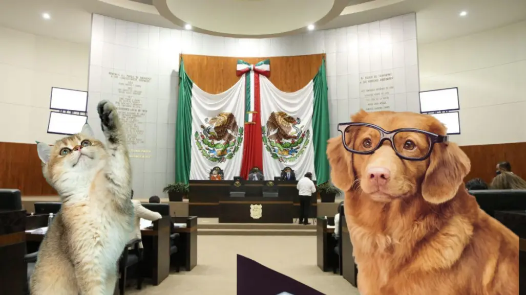 Congreso de Tamaulipas podría ser pet friendly