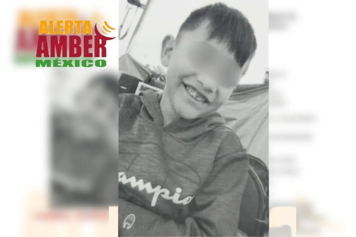 Ficha de búsqueda del menor Hansel Quiroz Cortez Foto: Canva