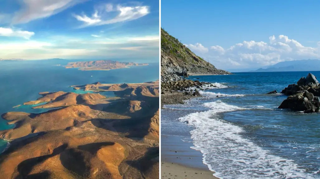 Isla Cerralvo: de refugio de aves a Patrimonio Mundial de la Humanidad