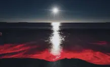 ¿Qué son los Florecimientos Algales y por qué a veces escuchamos sobre la “marea roja”?