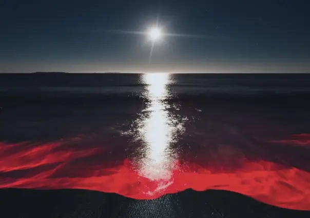 ¿Qué son los Florecimientos Algales y por qué a veces escuchamos sobre la "marea roja"?