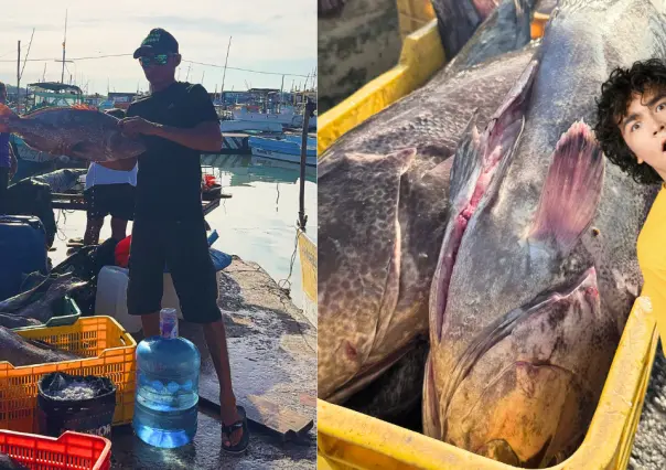 4 datos curiosos sobre el mero en Yucatán que pocos conocen