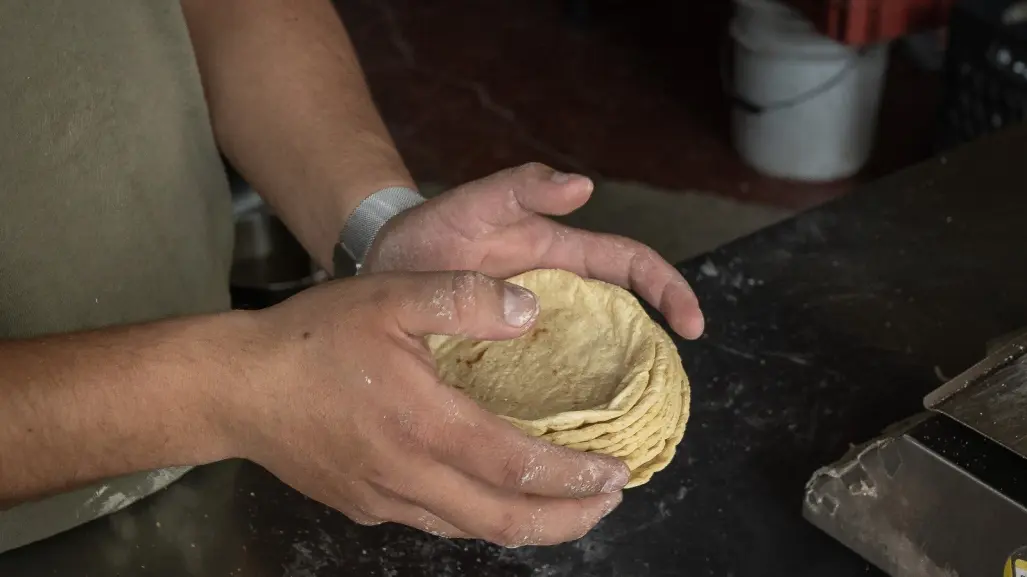 Acuerdo Nacional Maíz–Tortilla: cómo inscribirse y cuáles son los beneficios para  Yucatán