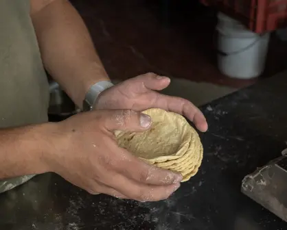 Acuerdo Nacional Maíz–Tortilla: cómo inscribirse y cuáles son los beneficios para  Yucatán