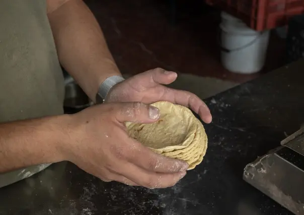 Acuerdo Nacional Maíz–Tortilla: cómo inscribirse y cuáles son los beneficios para  Yucatán
