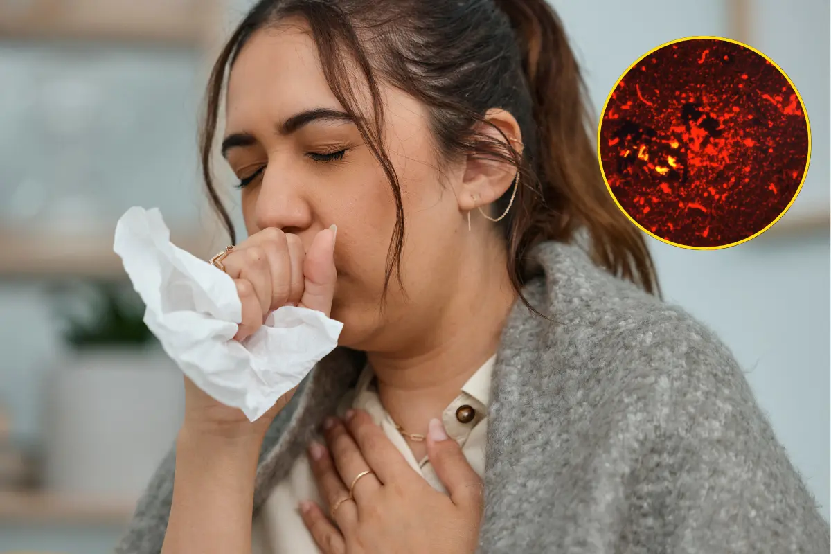 La detección temprana y el acceso al tratamiento gratuito son las principales herramientas para reducir la incidencia de tuberculosis en Coahuila./Foto: Canva