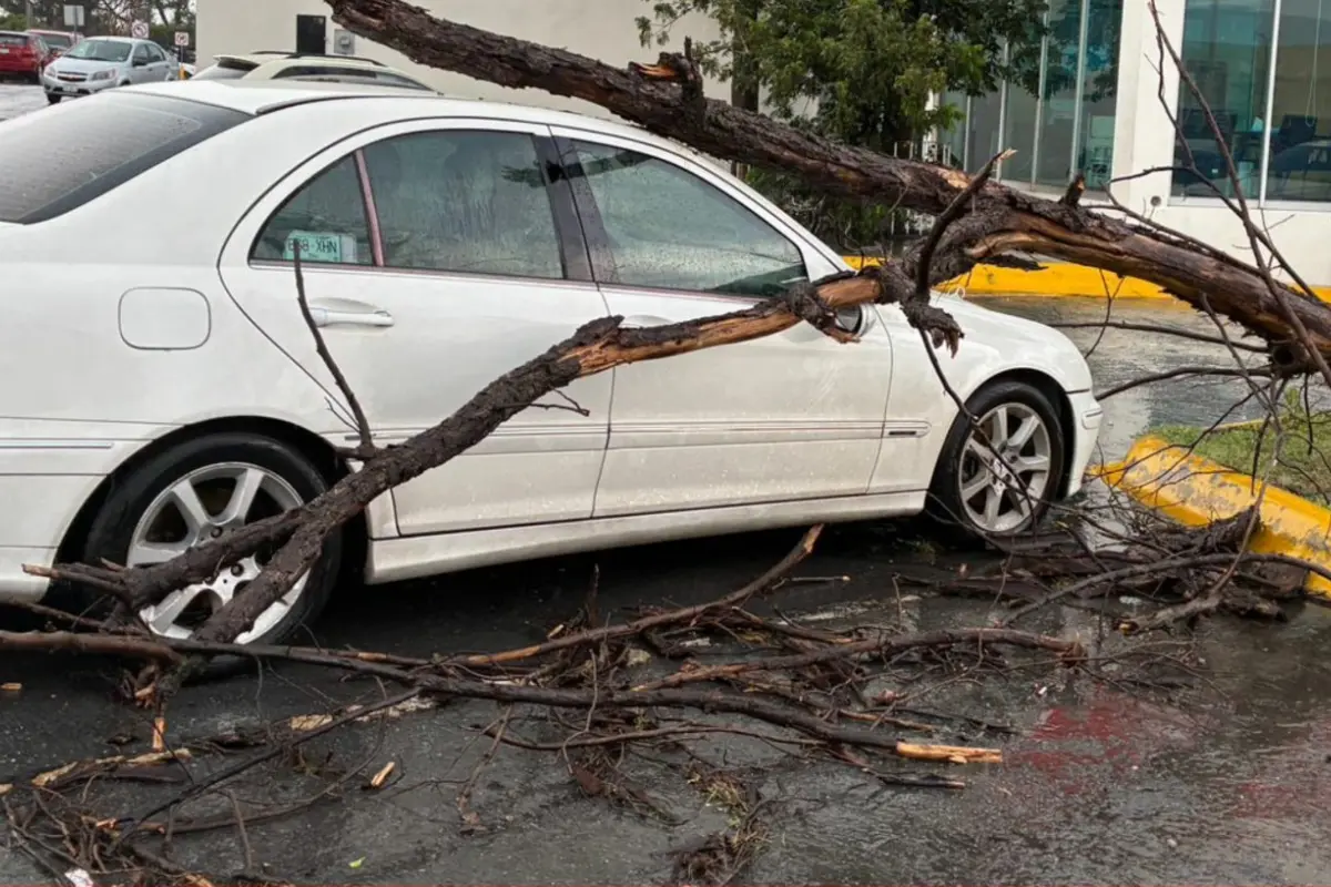 El servicio de recolección de basura continuará operando con normalidad, a fin de evitar acumulaciones que puedan obstruir coladeras y agravar encharcamientos por las lluvias./Foto: Redes Sociales