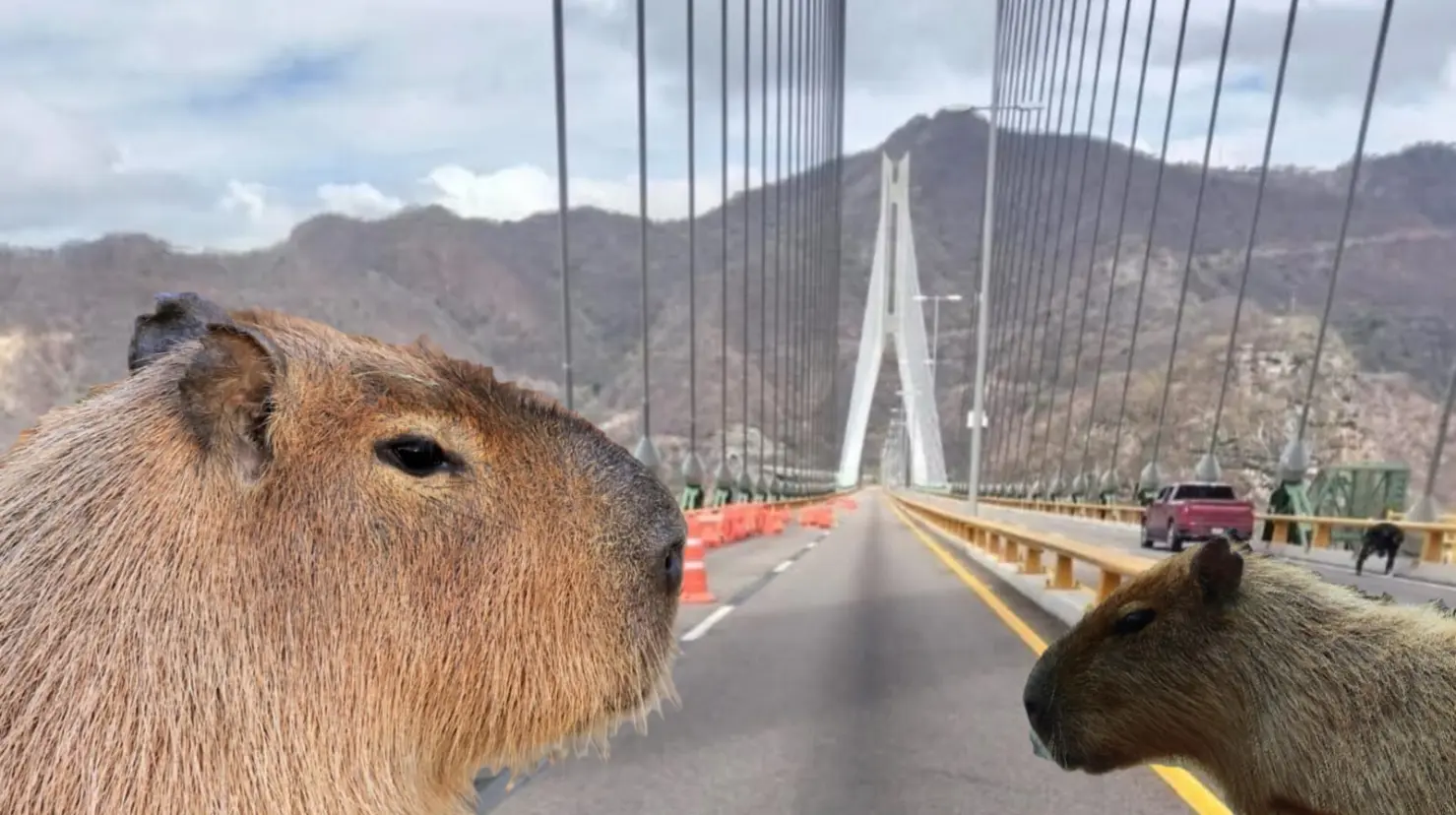 Foto: Pixabay/ Facebook/ Secretaría de Seguridad Pública del Estado de Durango | Este es el lugar con capibaras que puedes visitar después de viajar por la Supercarretera Durango a Mazatlán.