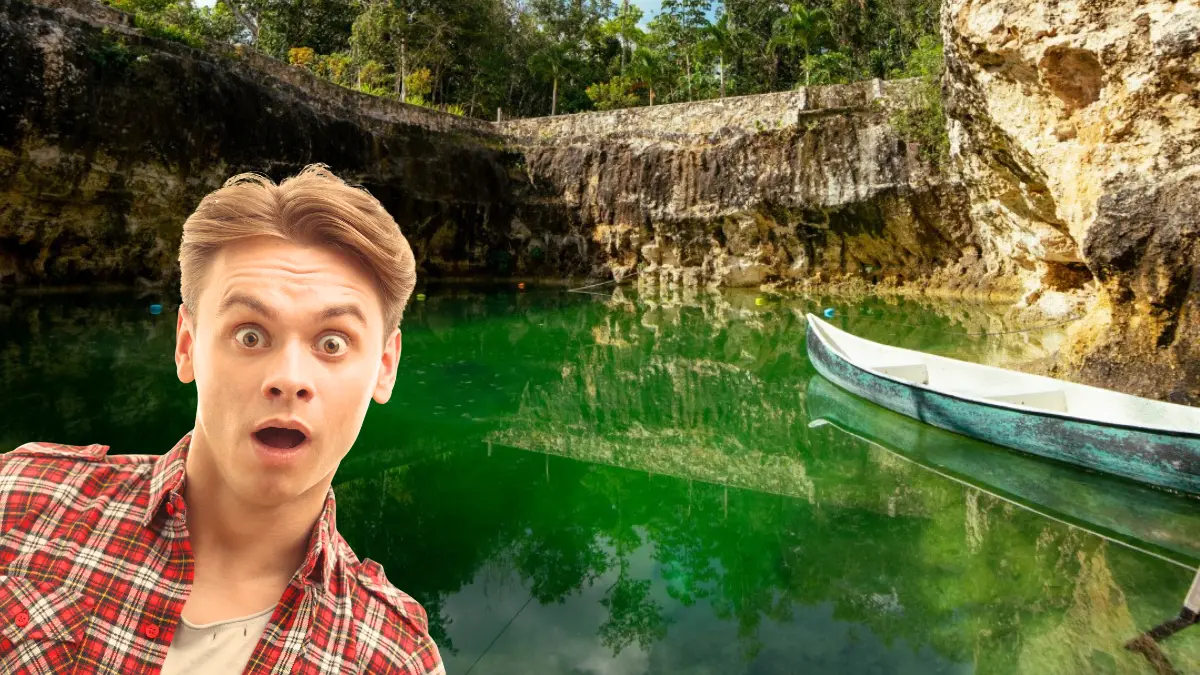Los dientes de megalodón fueron hallados en 2019 Foto: Cenote Maravilla/Canva