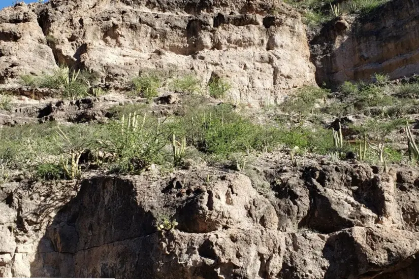 El cañón alberga numerosas pinturas rupestres. Foto: AllTrails