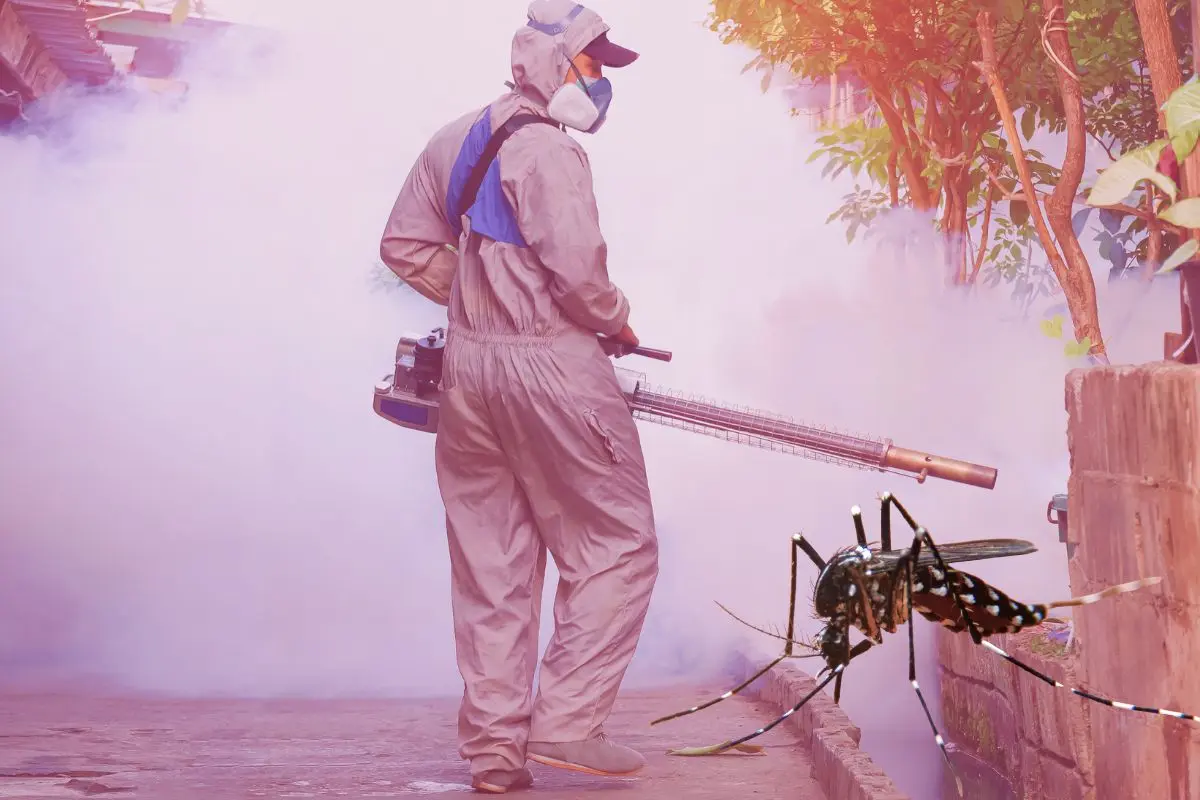 Hombre fumigando y un mosquito Foto: Canva