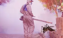 La Secretaría de Salud anuncia la 2° Jornada Nacional contra el Dengue