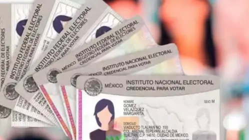 Registro Federal de Electores en Tamaulipas destruyó más de 13 mil credenciales por esta razón