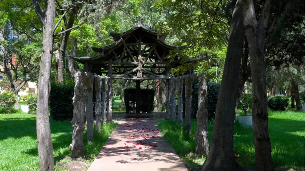Este parque olvidado en CDMX fue propiedad del paisajista japonés que trajo las jacarandas a México