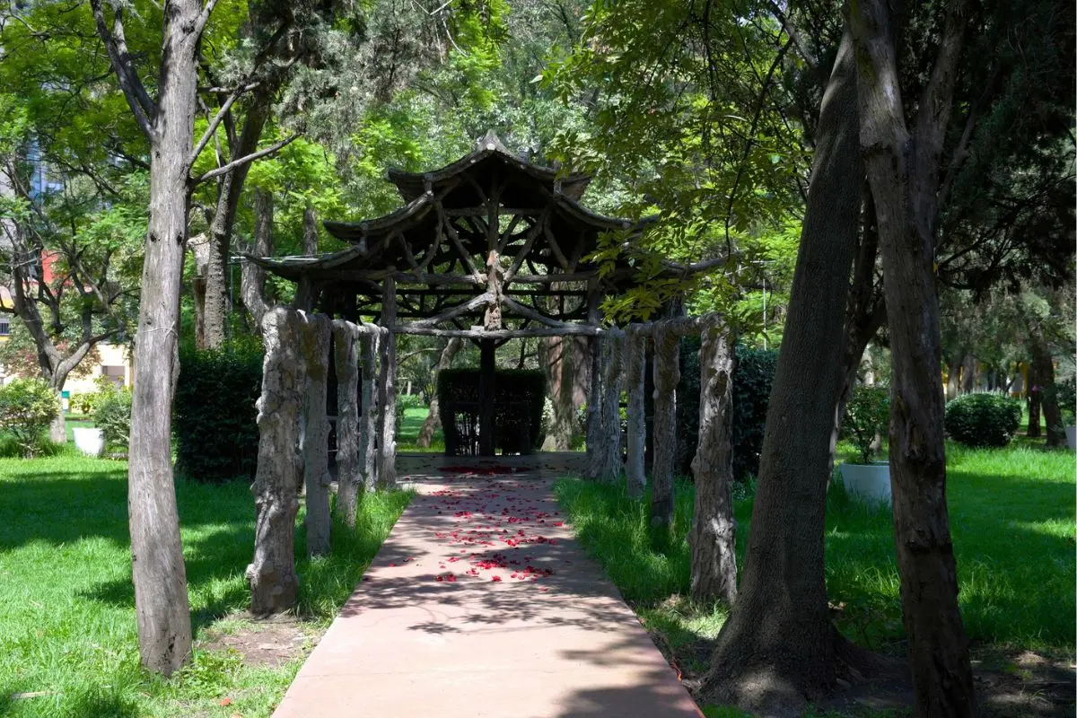 El Batán Parque Ecológico.   Foto: Secretaría de Turismo de la Ciudad de México