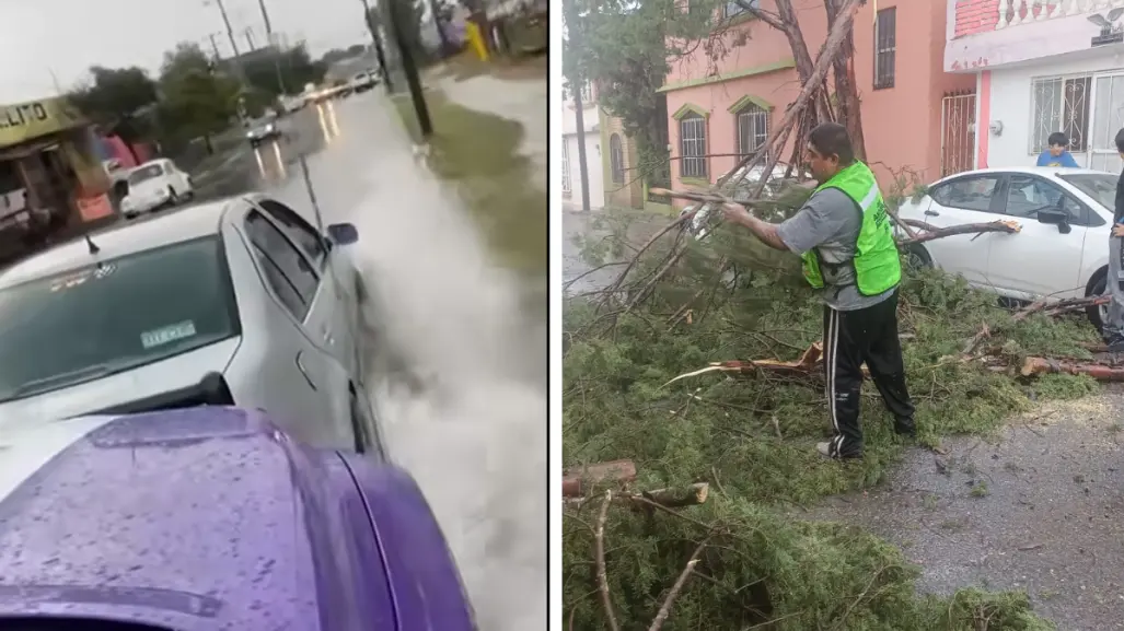 Clima en Saltillo; lluvias y vientos causan afectaciones en diferentes puntos de la ciudad