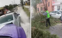 Clima en Saltillo; lluvias y vientos causan afectaciones en diferentes puntos de la ciudad
