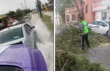 Clima en Saltillo; lluvias y vientos causan afectaciones en diferentes puntos de la ciudad