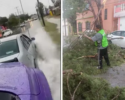 Clima en Saltillo; lluvias y vientos causan afectaciones en diferentes puntos de la ciudad