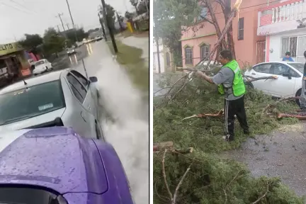 Clima en Saltillo; lluvias y vientos causan afectaciones en diferentes puntos de la ciudad Clima en Saltillo; lluvias y vientos causan afectaciones en diferentes puntos de la ciudad